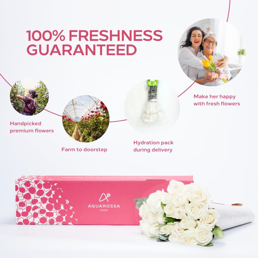 Aquarossa Farms - 24 White Roses, Fresh Flowers For Delivery, Flower Fresh Bouquet, Gift Idea For Graduation, Birthday, Annivers