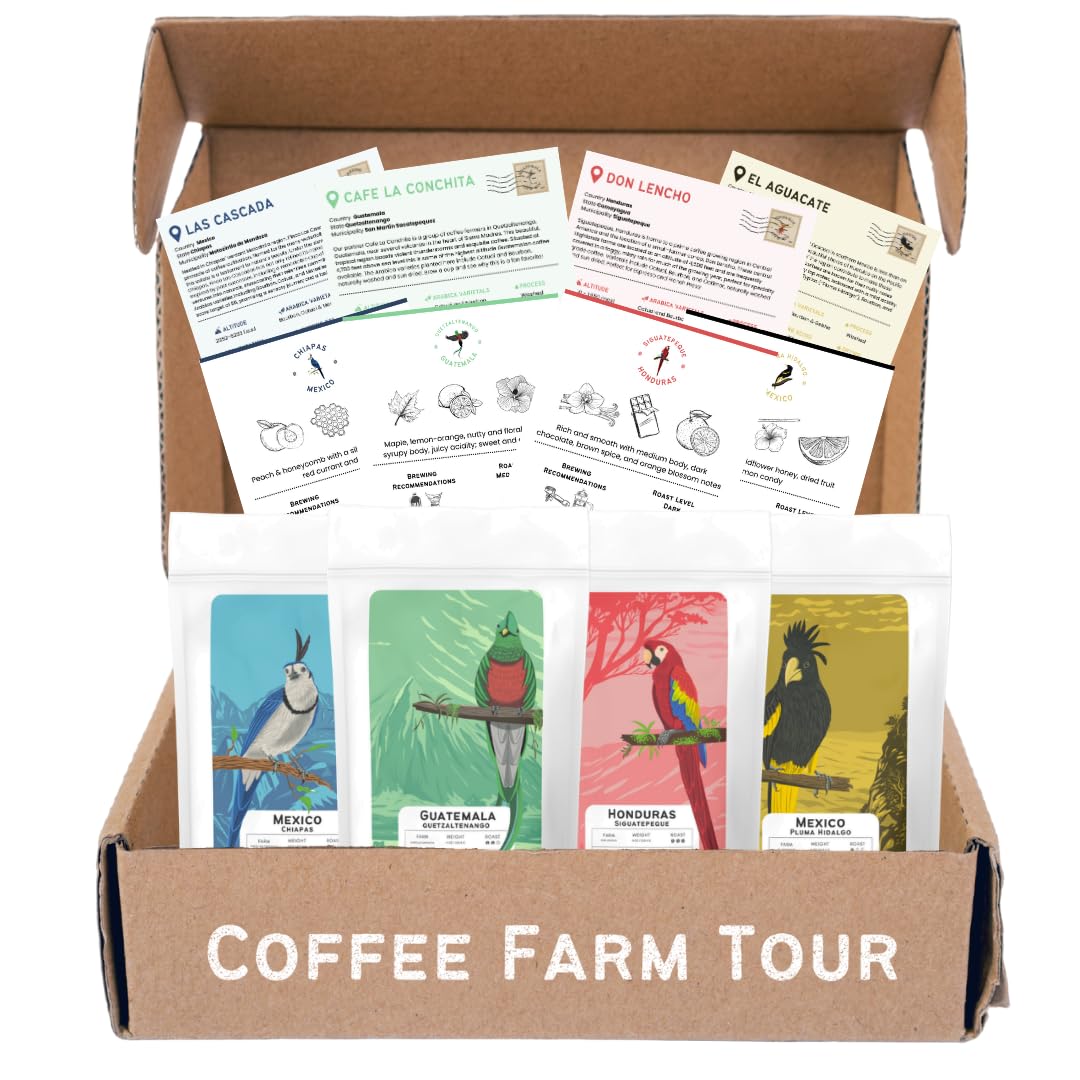 Canopy Point Coffee | Ground Coffee Sample Pack | Gourmet Coffee Sampler | Single Origin Coffee Gift Set | Sampler Gift Box Set