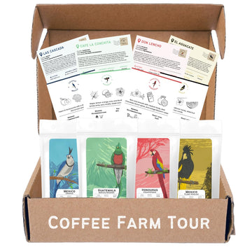 Canopy Point Coffee | Ground Coffee Sample Pack | Gourmet Coffee Sampler | Single Origin Coffee Gift Set | Sampler Gift Box Set