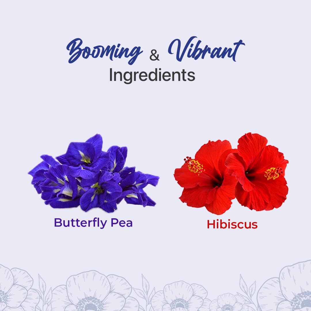 BLUE TEA Butterfly Pea Flower Tea & Hibiscus Tea Combo Pack - 2.64 Oz - Chemical Free, Caffeine Free, Herbal Tea, Reusable Pet Jar