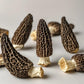 easyum Premium Dried Morel Mushrooms, 8 oz Dehydrated Cooking Mushrooms