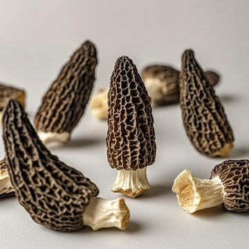 easyum Premium Dried Morel Mushrooms, 8 oz Dehydrated Cooking Mushrooms