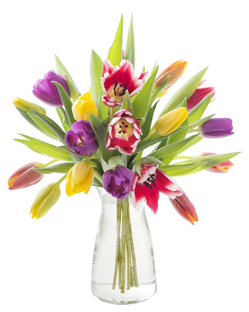 KaBloom Flowers -Valentine's Day Collection - 20 Assorted Tulips with vase, Gift for Birthday, Sympathy, Anniversary, Get Well, 