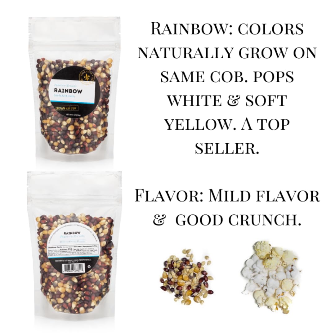 DELL COVE SPICES Rainbow Popcorn Kernels - Classic Stovetop Popcorn, 8 Ounce