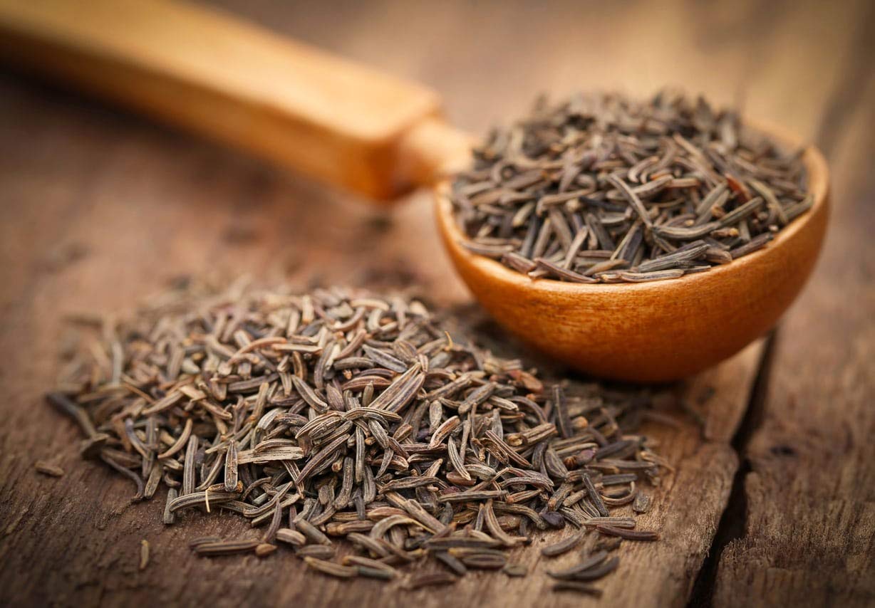 Gaea'S Blessing Seeds - Caraway Seeds For Planting - Non-Gmo Open-Pollinated Heirloom 93% Germination Rate