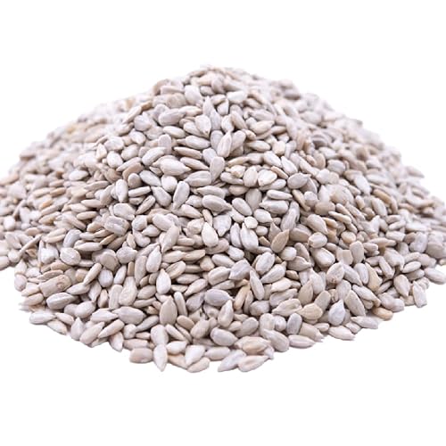 Gerbs Raw Sunflower Seed Kernels 14Oz. | Grown In Usa & Packaged In Resealable Bulk Bag | Keto & Paleo |Allergen Friendly | Packed With Protein & Omega Fats | Gluten Peanut Tree Nut Allergy Free
