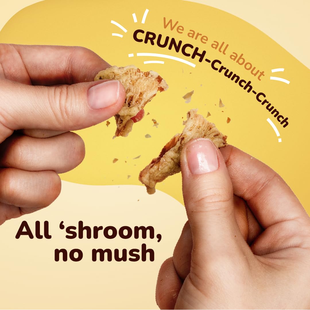 EVIL SNACKS Crunchy Mushroom Chips - VARIETY PACK, Non-GMO, Plant-Based, Vegan - Nutrient-Packed, On-the-Go Snack - 1 Oz (6 Pack