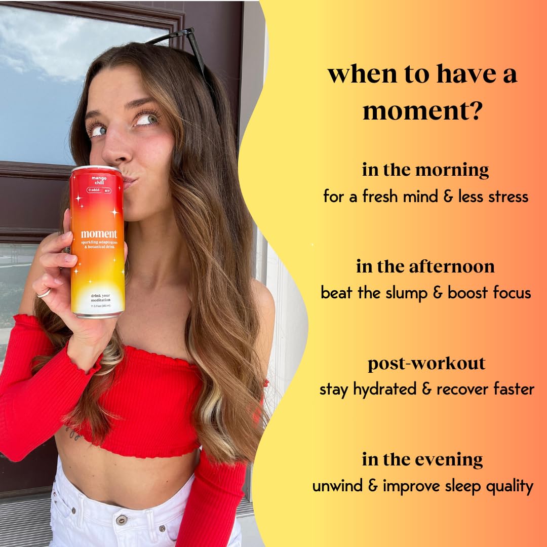 Drink Your Meditation Moment Botanical Drink - STILL Spiced Mango, 11.5 Fl Oz, 12-Pack, Contains Adaptogens, Low Calorie, Keto