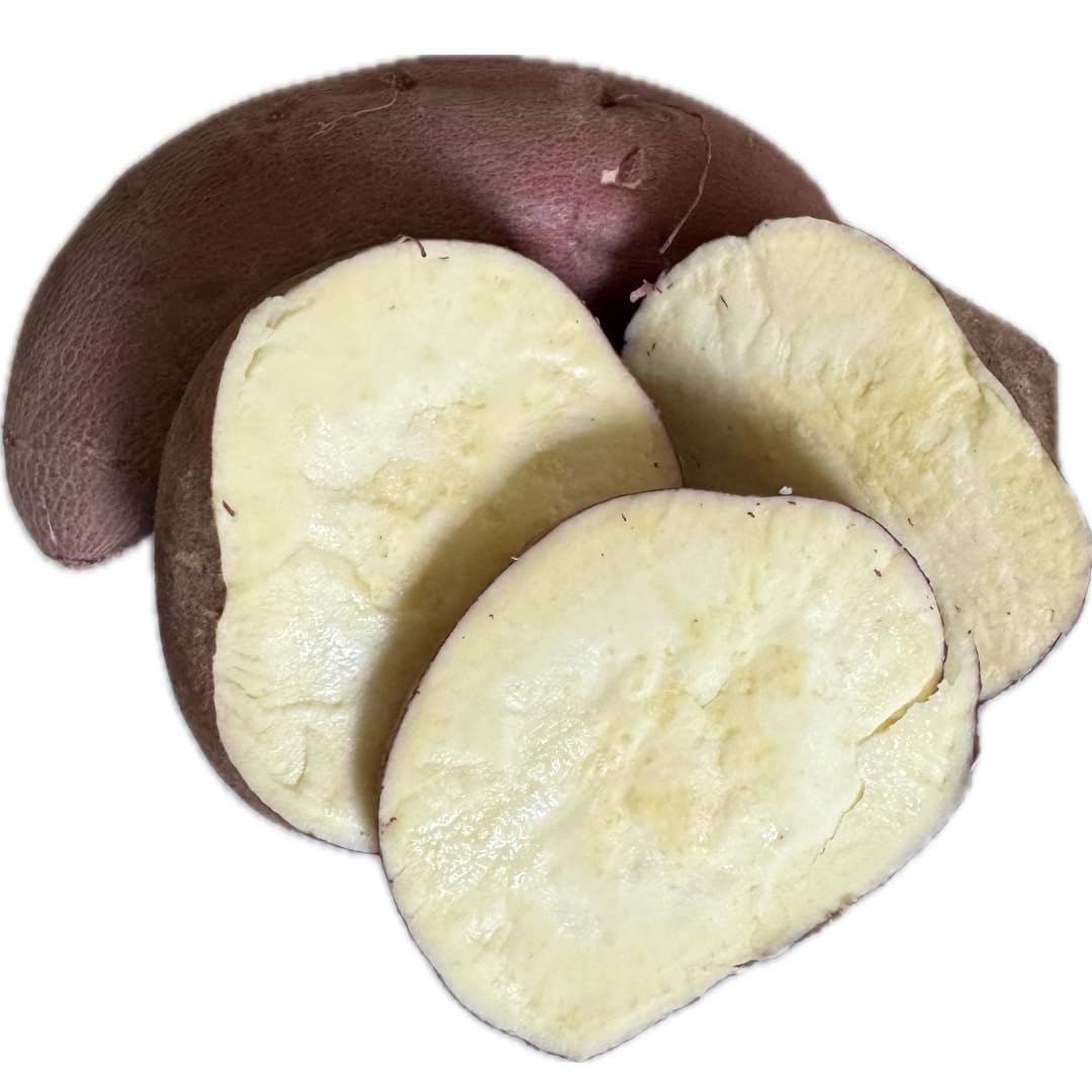 2 Pounds Fresh Japanese Sweet Potatoes Yam - Red Skin - White Flesh - Small Size Roots - Produce