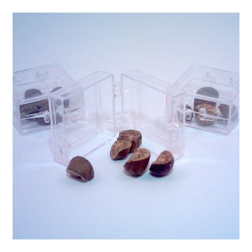 Unknown Magic Mexican Jumping Beans - 15 Count (3 Cases of 5 Beans) - As Pictured