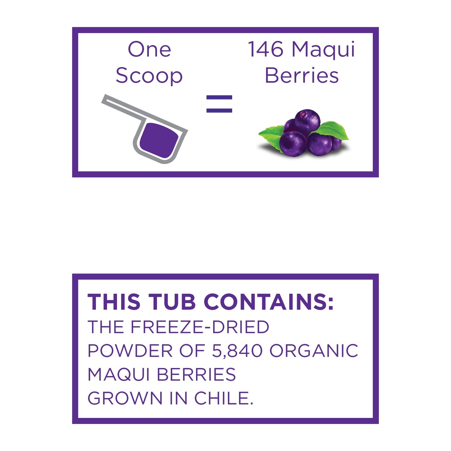 Koyah - Organic Maqui Berry Powder 30 Servings (1 Scoop = 146 Berries Or 1/8 Cup Fresh), Chile Grown, Freeze-Dried, Whole-Berry Powder