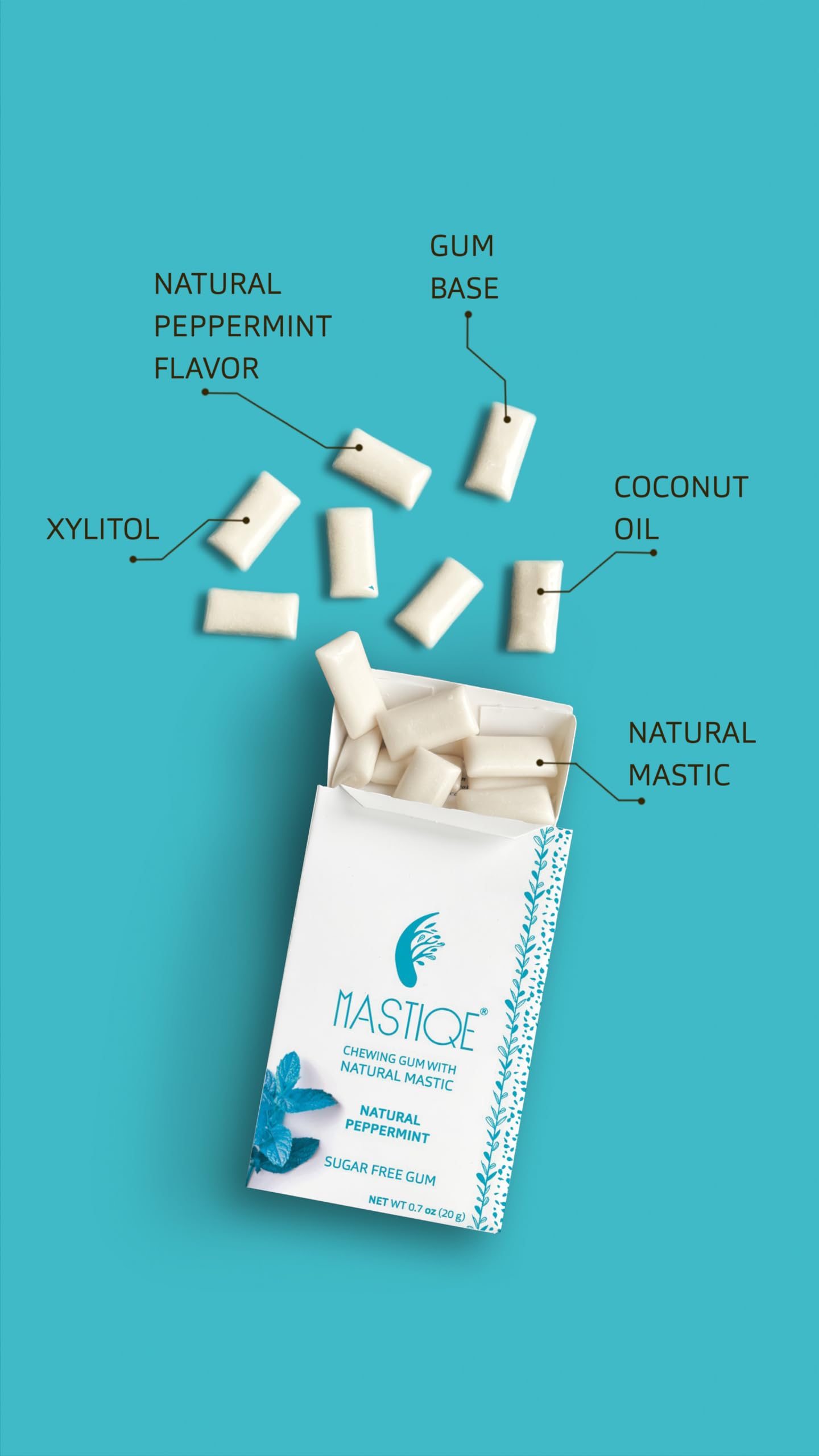 Mastiqe Sugar Free Hard Chewing Gum with Natural Mastic (Variety Pack, 12 Count)