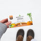 Tree - 6 Count Of Organic Moringa Superfood Tea, 25 Individually Sealed Tea Bags, Pumpkin Spice (Keto, Detox, Energy/Immunity Booster, Vegan, Gluten-Free, Organic, Non-Gmo, Caffeine-Free)