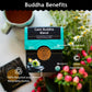 Buddha Teas Calm Buddha Blend Organic Herbal Tea - Caffeine Free - 18 Bleach-Free Tea Bags - Non-GMO & OU Kosher
