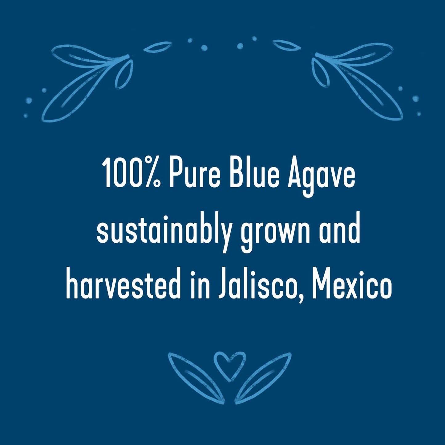 Wholesome Organic Blue Agave Nectar, Natural Low Glycemic Sweetener, Non GMO, Fair Trade & Gluten Free, 5 gallon jug (Pack of 1)