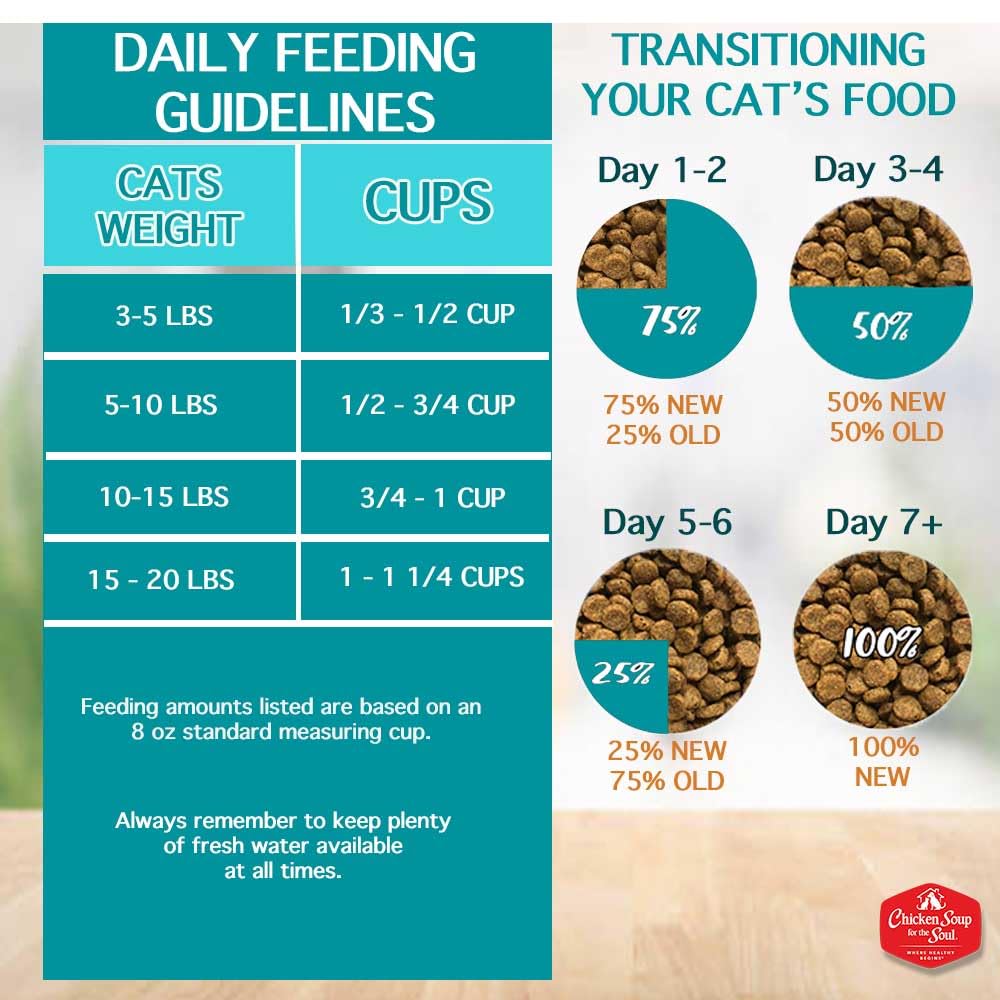 Chicken Soup For The Soul All Natural Enhanced Indoor W/Hairball Care Mature-Themed Dry Cat Food, Real Meat First Ingredient, No By-Products, Supports Intestinal Health, Chicken & Brown Rice, 12Lb