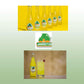 Jarritos Pineapple Mexican Soft Drink 12 Fl Oz Glass Bottles 12 Pack