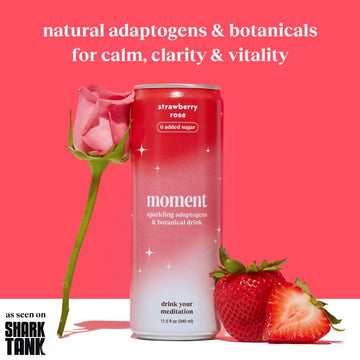 Drink Your Meditation Moment Botanical Soda - Strawberry Rose - Sparkling Soft Drink - 11.5 Fl Oz (Pack of 12)