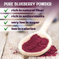 Blueberry Powder - Pure All Natural Whole Blueberry Powder for Baking, Flavoring, Smoothies, Beverage, 8 oz