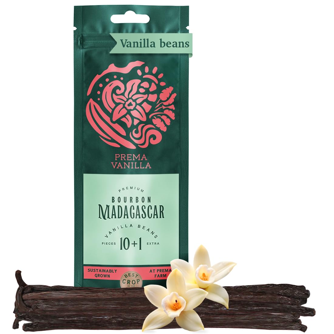 Prema Vanilla Madagascar Vanilla Beans, Grade A Spirit-Inspired Flavor Pods For Making Vanilla Extract, Good For Cooking And Baking, Rich And Intense Aroma, Pack Of 10 Beans Plus 1 Gift Bean