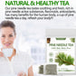 Enhanced 100 Pine Neddle Tea Bags,100% Picked From Natural Wild Pine Neddle, No Caffeine & No Additives.
