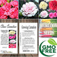 Myseedsco Big Pack - Clove Carnation Seed (5,000 Seeds) - Dianthus Caryophyllus Chabaud Mix - Edible Flower Seeds (Big Pack - Cl