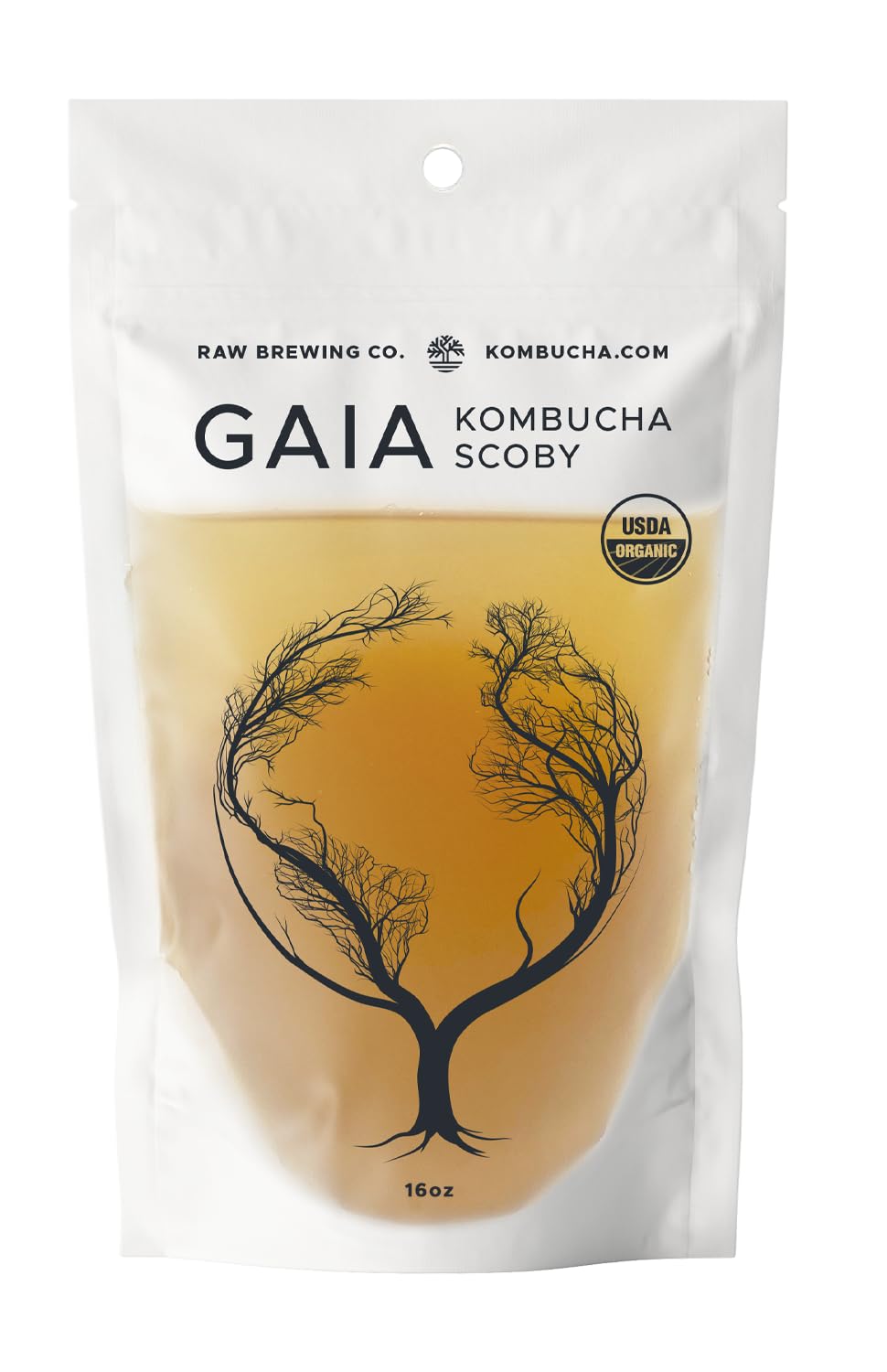 'Big Ole Booch' 2 X Certified Organic Kombucha Scobys (Gaia) + Super Strong Starter Liquid. 16 Oz. Makes 1 Or 2 Gallons. Include