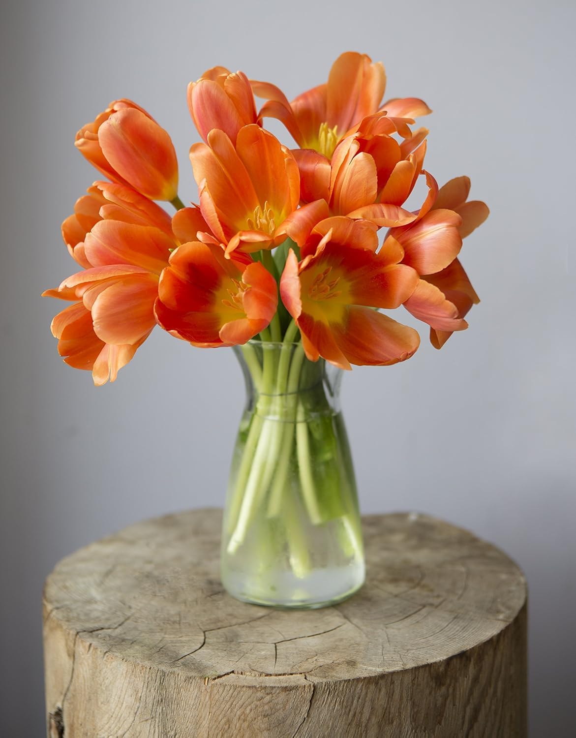 Kabloom Flowers -Valentine'S Day Collection - 10 Orange Tulips With Vase, Gift For Birthday, Sympathy, Anniversary, Get Well, Th