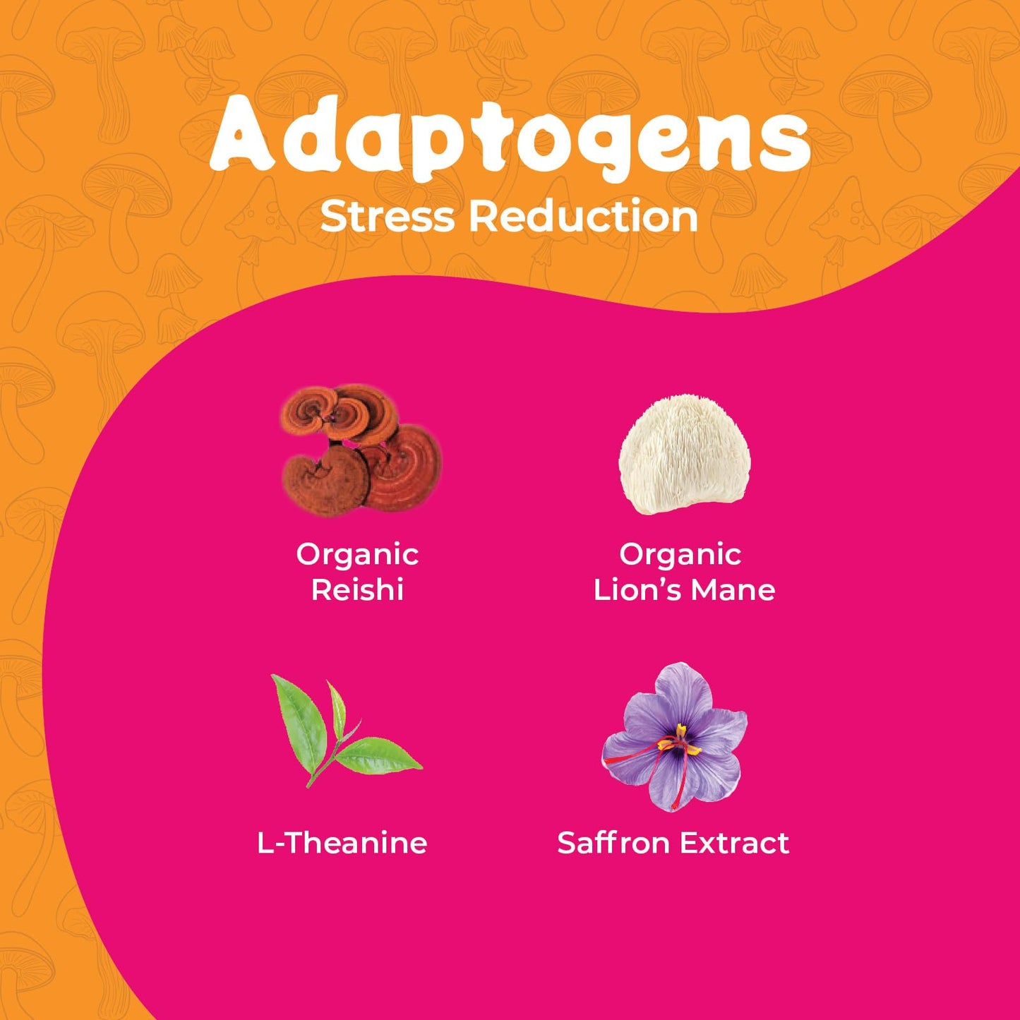 Melting Forest Mushroom D-Stress Drink - Reishi & Lions Mane - Stress Relieving & Focus - Cognitive Function & Mental Clarity - 12 Pack - Watermelon Elderflower