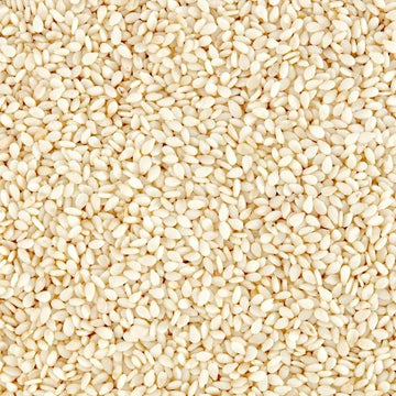 US Snacks - Superfood Premium White Sesame Seeds: Pure, Nutritious, and Versatile for Any Dish, Rich in Nutrients and Ideal for 