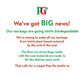 Pg Tips Non-Pyramid 240 Bags 3 Pack (720 Bags Total)