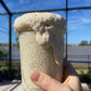 Generic Einkorn Sourdough Starter - Live Active Culture, 100 Grams in Glass Ball Mason Jar