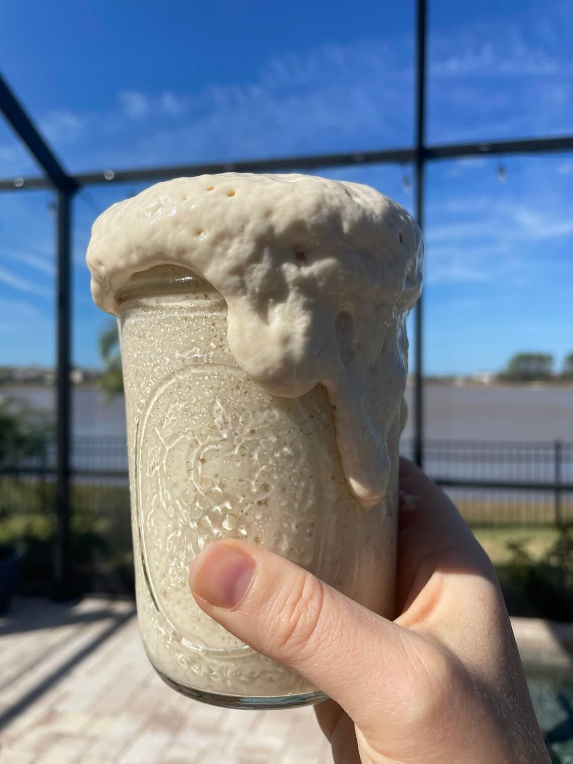 Generic Einkorn Sourdough Starter - Live Active Culture, 100 Grams in Glass Ball Mason Jar