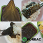 Koreac_Sesame Leaves In Soy Sauce (2.4 Oz, 70G, 2 Pack)_Korean Instant Food Banchan Side Dishes