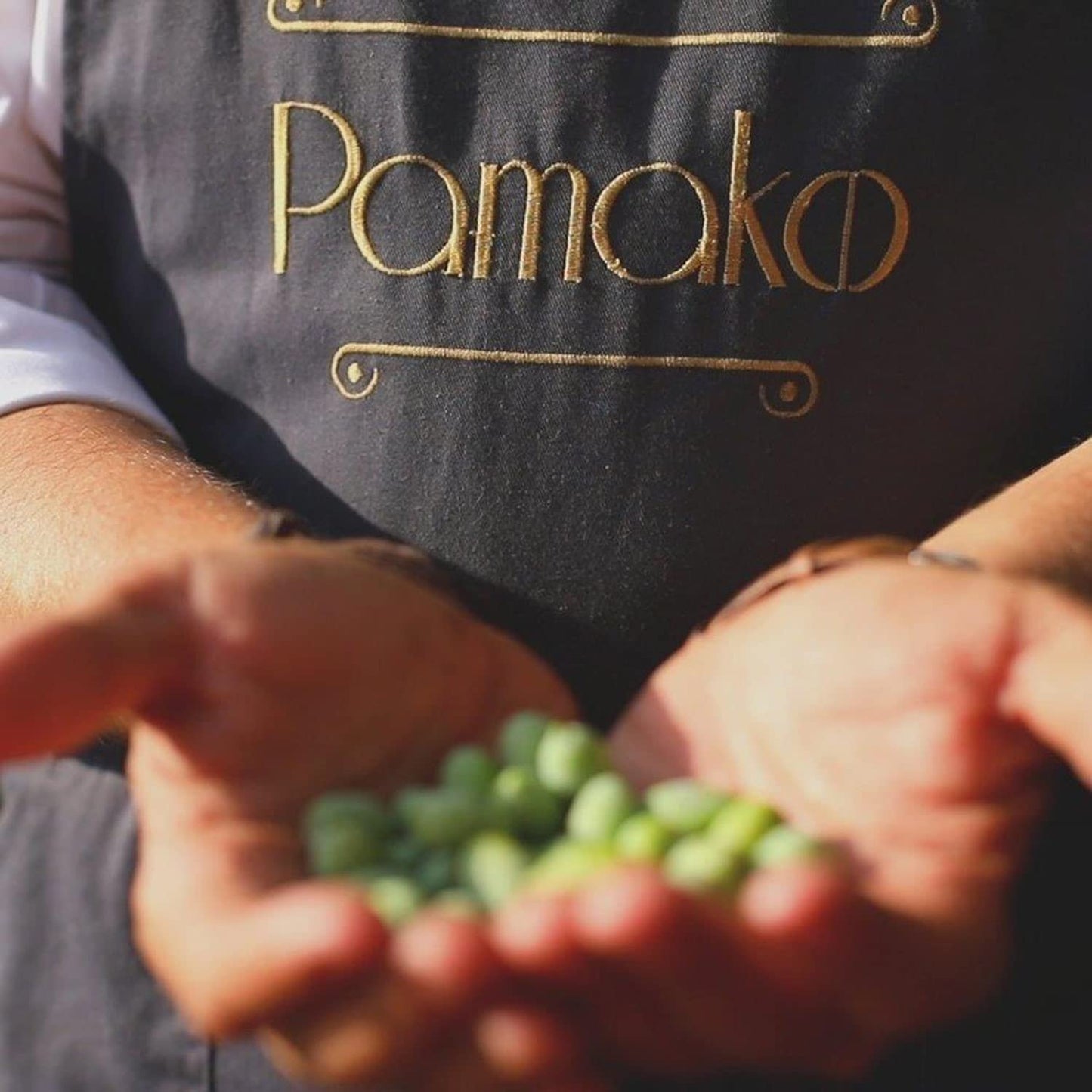 Pamako Ultra-Premium Organic Olive Oil, 500ml - Cold Pressed, 2023 Harvest, Monovarietal from Greece, 2039mg/kg Antioxidants