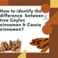 Nxtgen Ayurveda Ceylon Cinnamon Sticks | Sri Lankan Dalchini Sticks | 50G