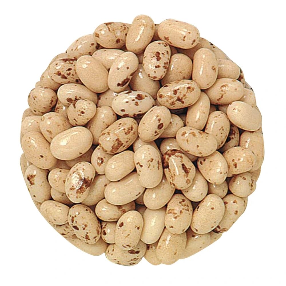 Bayside Candy Jelly Bean Collection All Flavors Jelly Beans (1LB, Toasted Marshmallow)