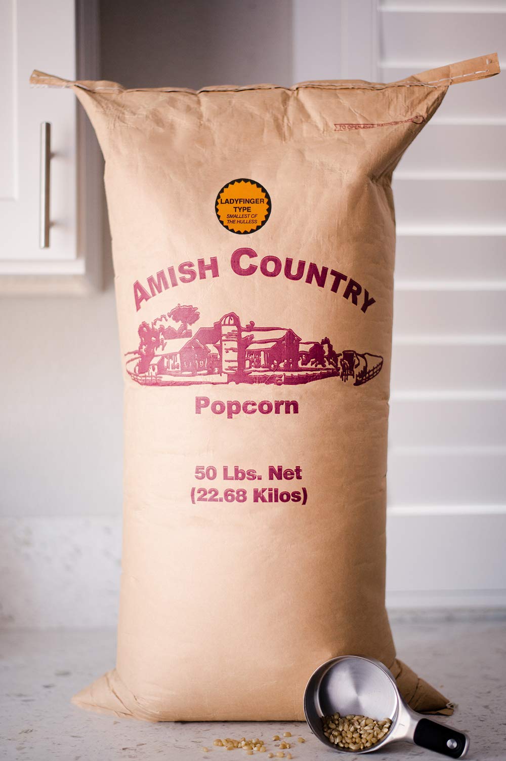 Amish Country Popcorn | 50 Lb Bag Ladyfinger Kernels | Old Fashioned, Non-GMO and Gluten Free (50lb Bag)
