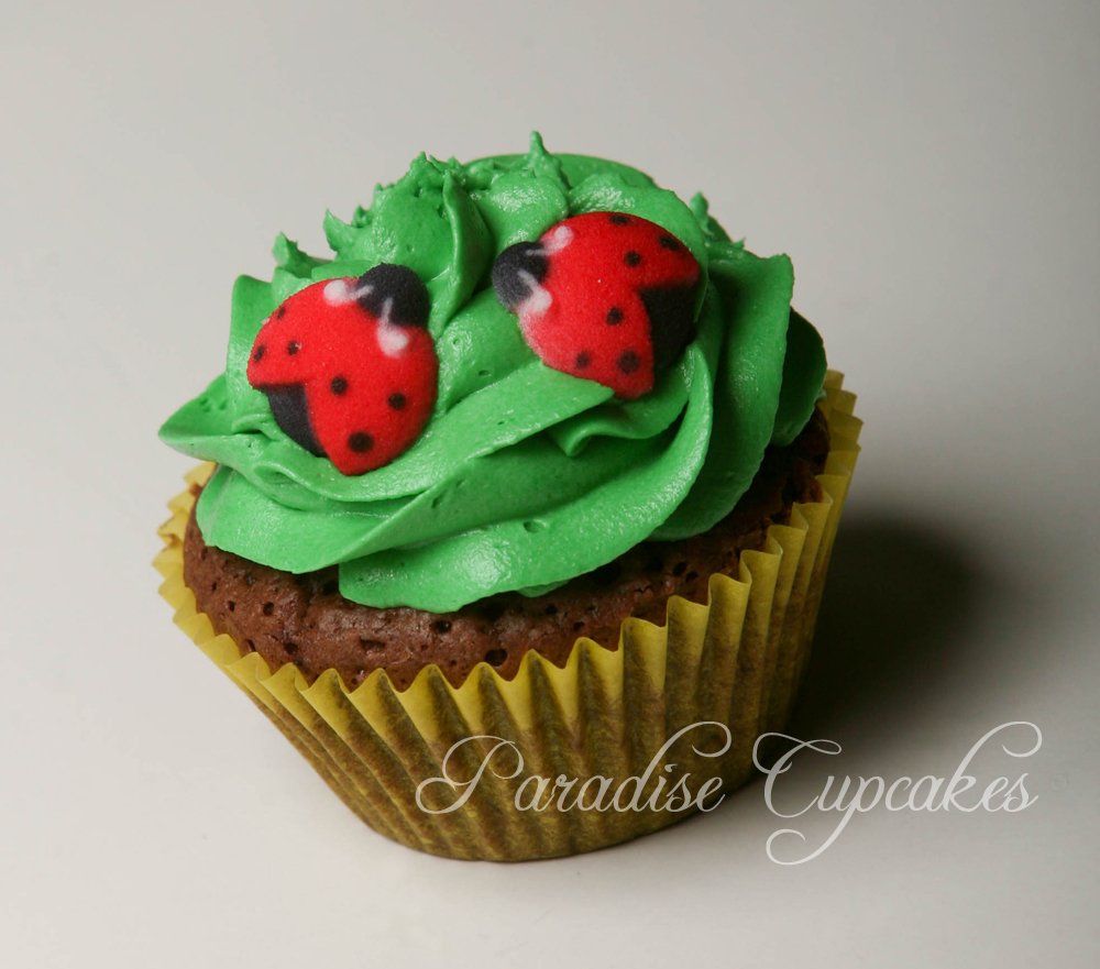 Oasis Supply Set Of 12 Edible Sugar Ladybug Toppers For Cakes Or Cupcakes