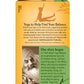 Yogi Tea, Green Tea Pure Green Decaf, 1.09 Ounce