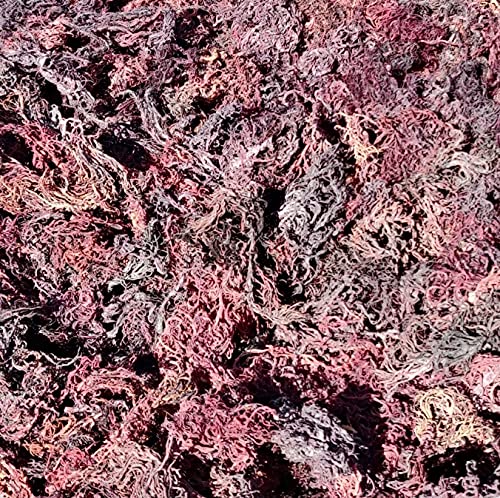 Helen of the West Wildcrafted Sea Moss - 100% Natural Irish Moss - 5 lb - Purple - Mineral-Rich Superfood - No Preservatives, No Chemicals