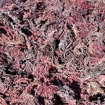 Helen of the West Wildcrafted Sea Moss - 100% Natural Irish Moss - 5 lb - Purple - Mineral-Rich Superfood - No Preservatives, No Chemicals