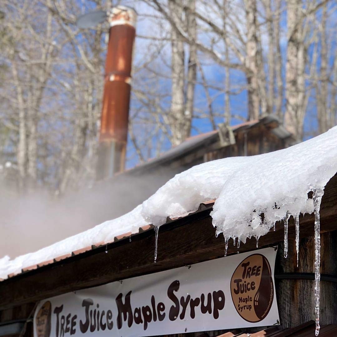 Tree Juice Maple Syrup Gift Box | Gift For Birthdays, Corporate, Holidays, And More | 5-2 Ounce Bottles