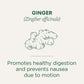 Traditional Medicinals Tea Ginger Organic 16 Bg