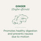 Traditional Medicinals Organic Ginger Tea, 96 Bags (6 Pack), Pleasantly Spicy & Warming, 0.85 Ounce