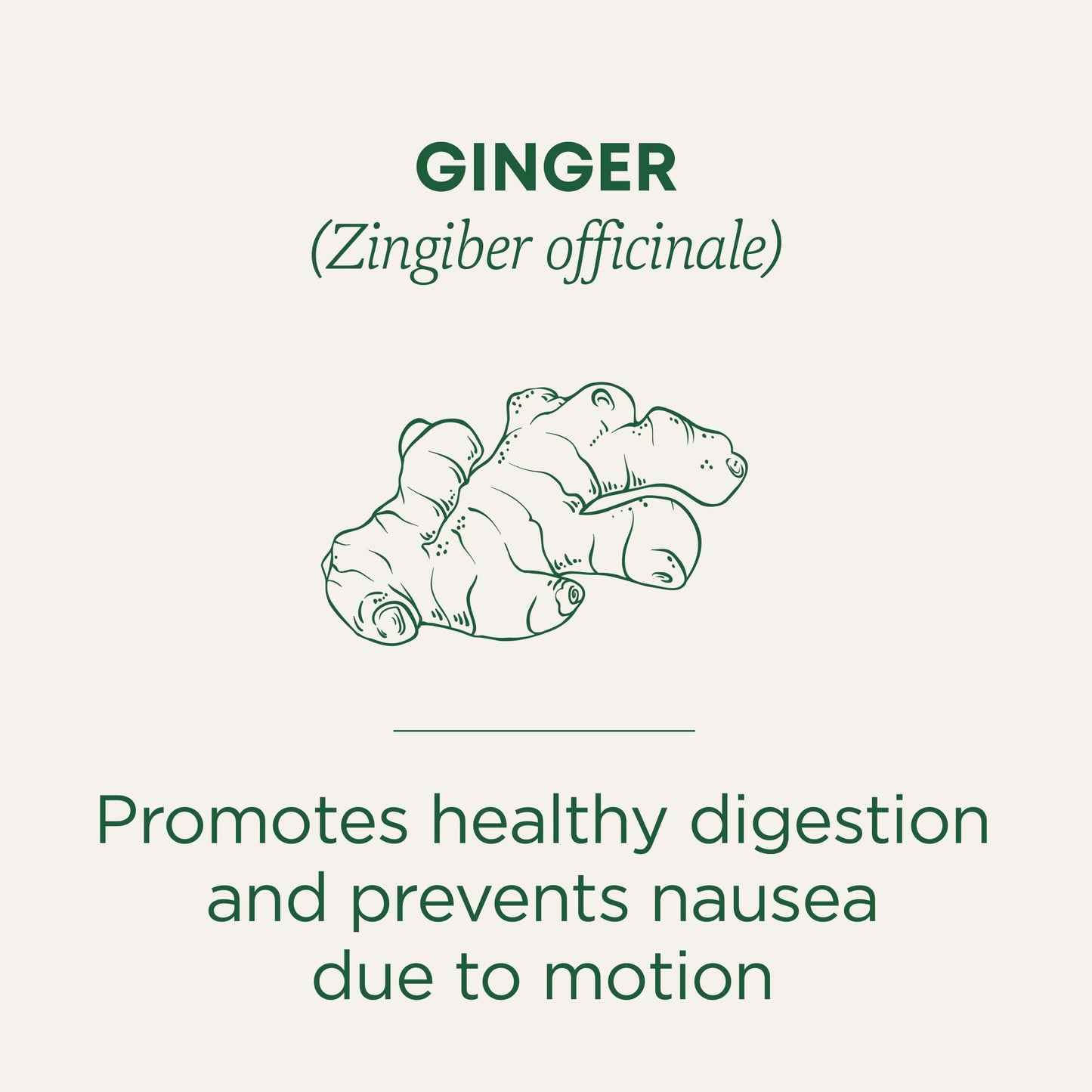 Traditional Medicinals Organic Ginger Tea, 96 Bags (6 Pack), Pleasantly Spicy & Warming, 0.85 Ounce