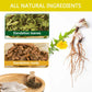 TZTZBOM Dandelion Leaf & Root Tea Bags, Non-GMO, Caffeine-Free, 20 Count