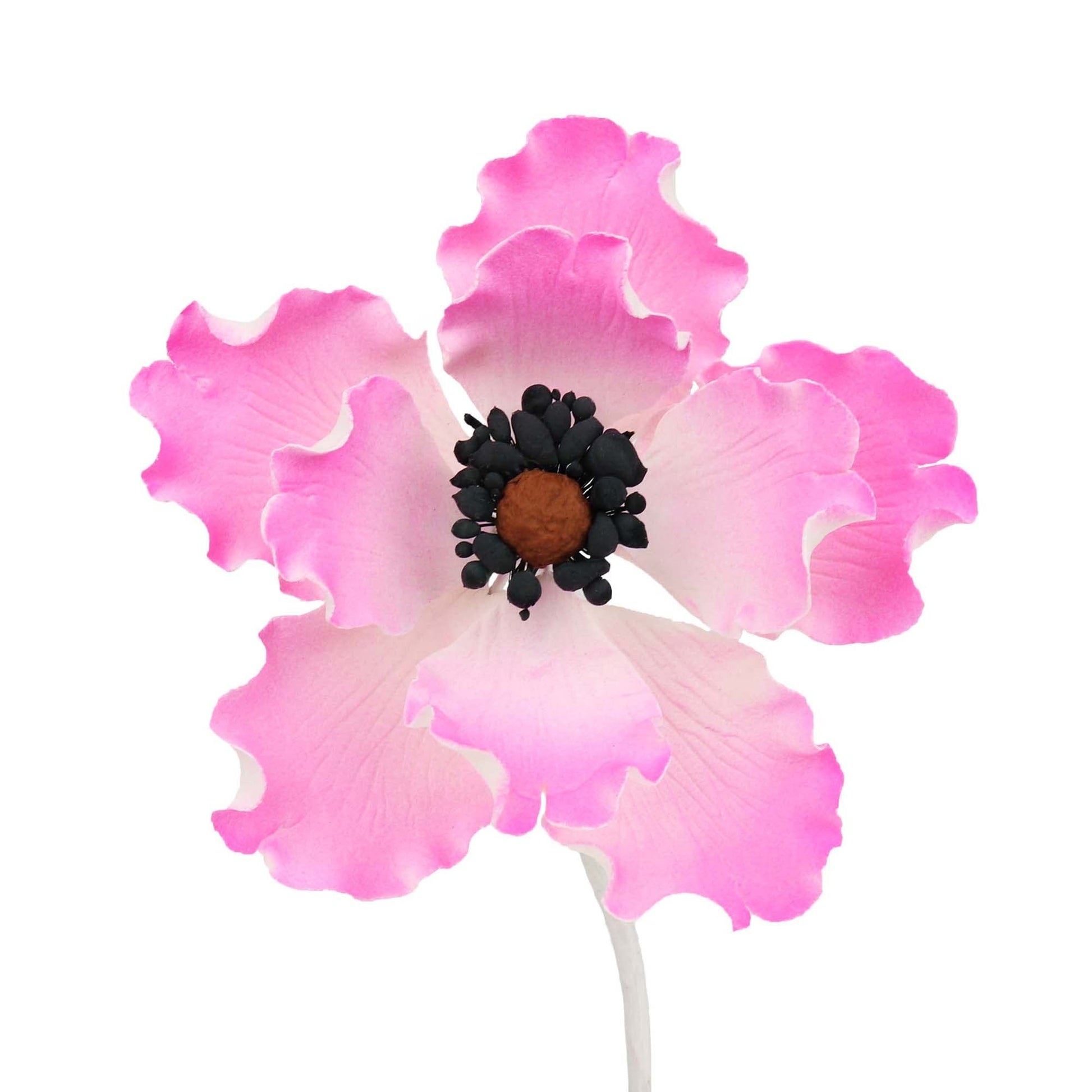 O'Creme Anemone Gumpaste Sugar Flower, 3-1/4 Inch - For Cake Decorating - Sugar Paste Decorations For Cakes, Cupcake Toppers - B