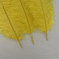 Londgen 10Pcs Natural Ostrich Feathers Plumes 14-16Inch(35-40Cm) For Craft Flower Arrangement Wedding Decoration And Halloween P