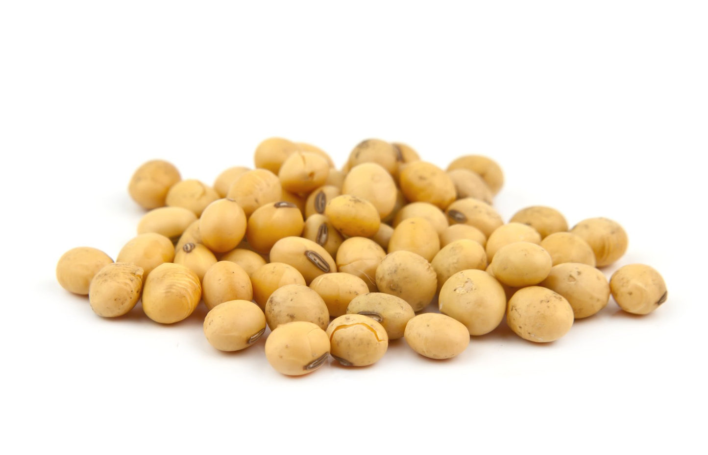 Hunza Natural Foods Organic Soybeans, 32 Ounce (2 lbs), Non-GMO, Pack of 1